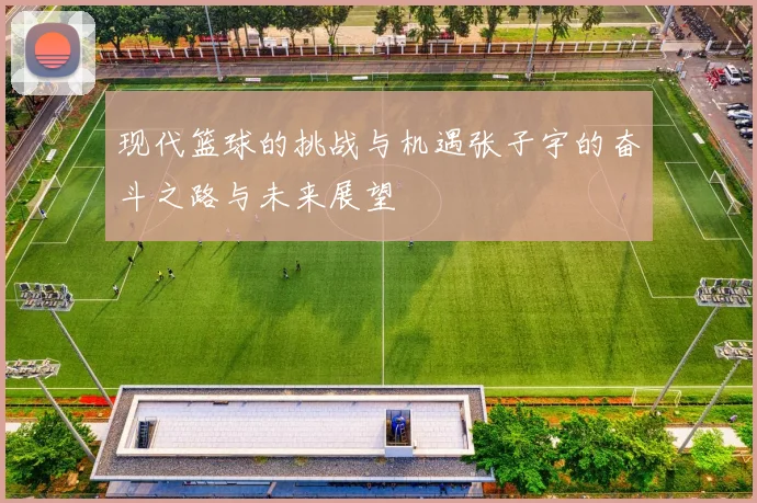 现代篮球的挑战与机遇张子宇的奋斗之路与未来展望