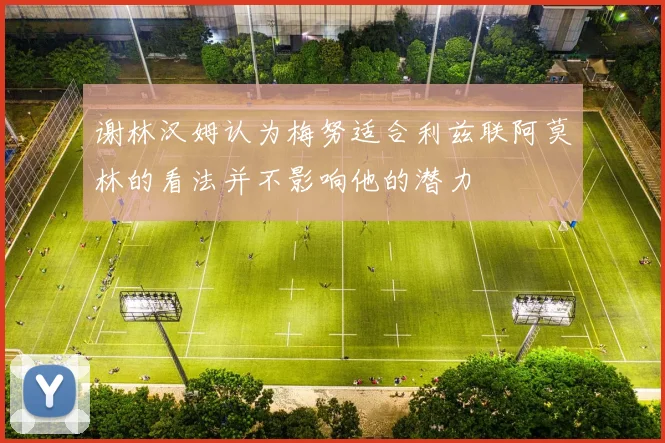 谢林汉姆认为梅努适合利兹联阿莫林的看法并不影响他的潜力