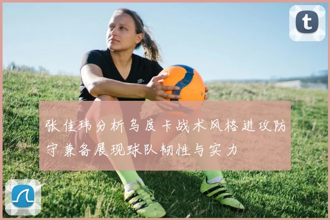 张佳玮分析乌度卡战术风格进攻防守兼备展现球队韧性与实力