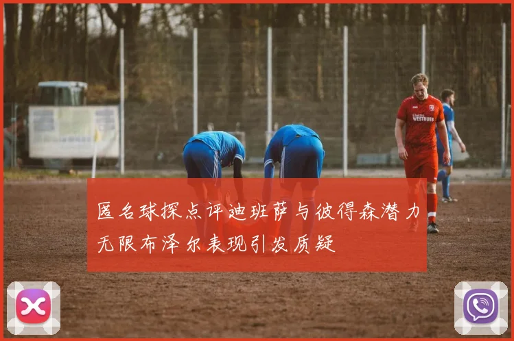 匿名球探点评迪班萨与彼得森潜力无限布泽尔表现引发质疑